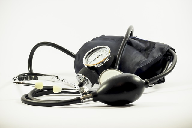 세계 전통 의학과 한의학으로 보는 혈압
