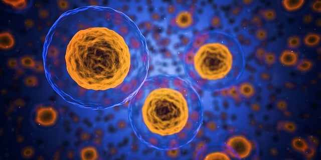 세포생리학으로 보는 세포의 다양한 모습