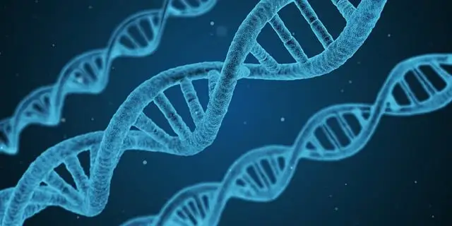 희귀 유전자 변이의 영향과 사례, 그리고 치료법 4가지